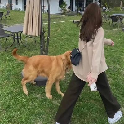 黑暗骑士